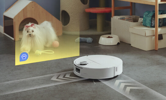 Automatic Pet Recognition