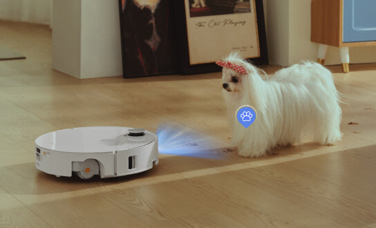 Track Your Pet